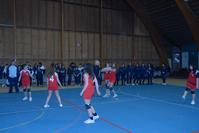 MST_0246