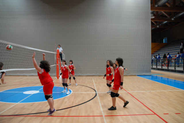 MST_0671